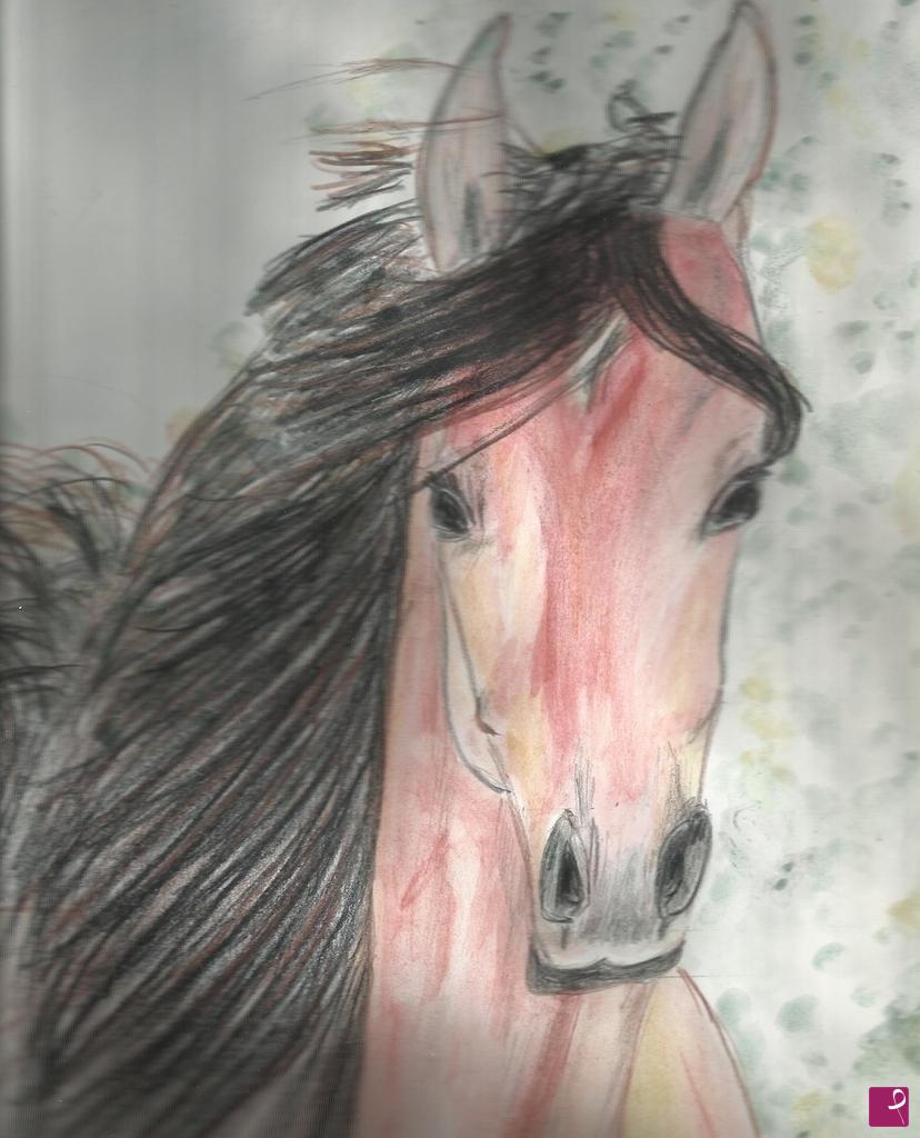 quadri in vendita online - CAVALLO   1