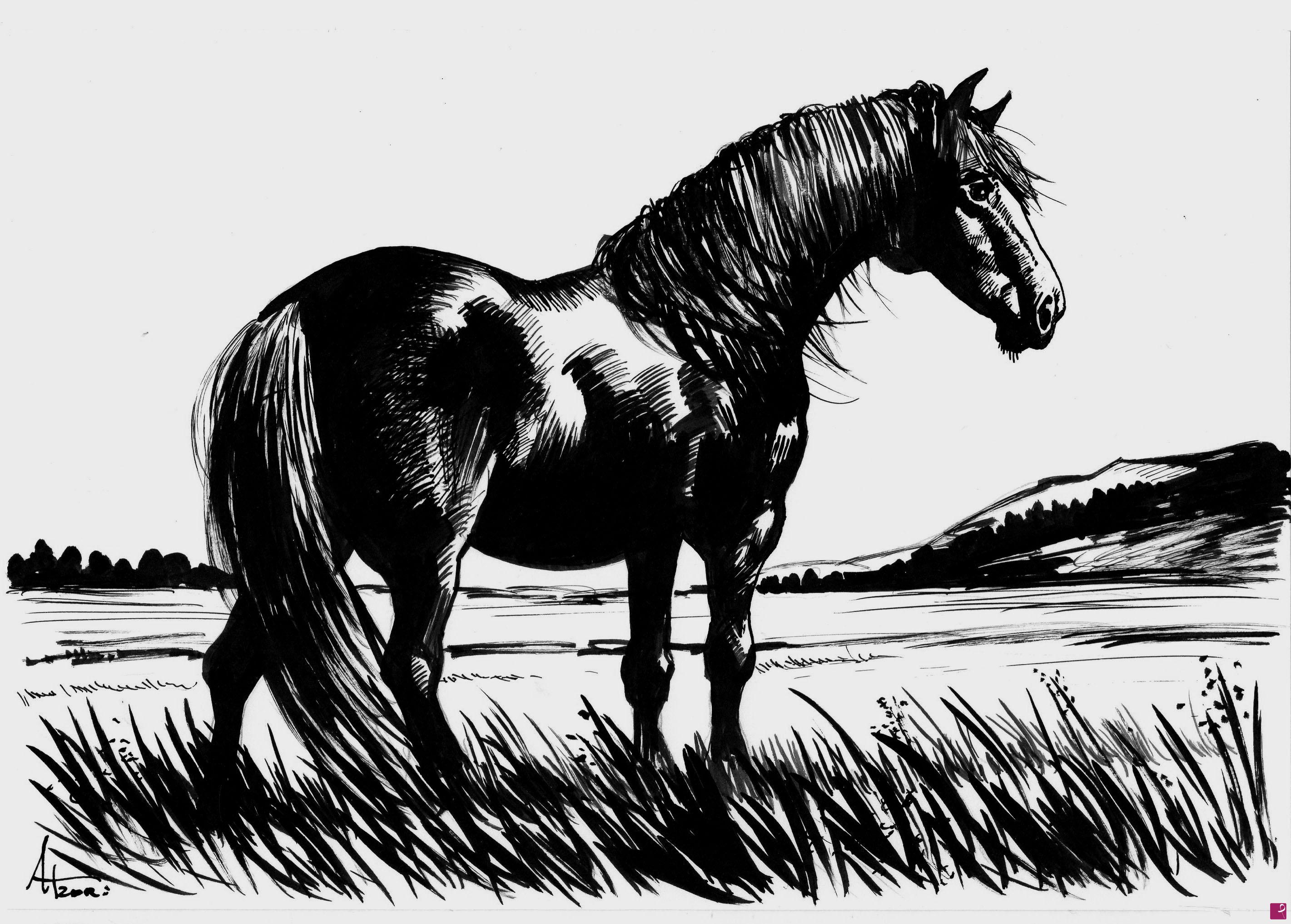 quadri in vendita online - cavallo 1