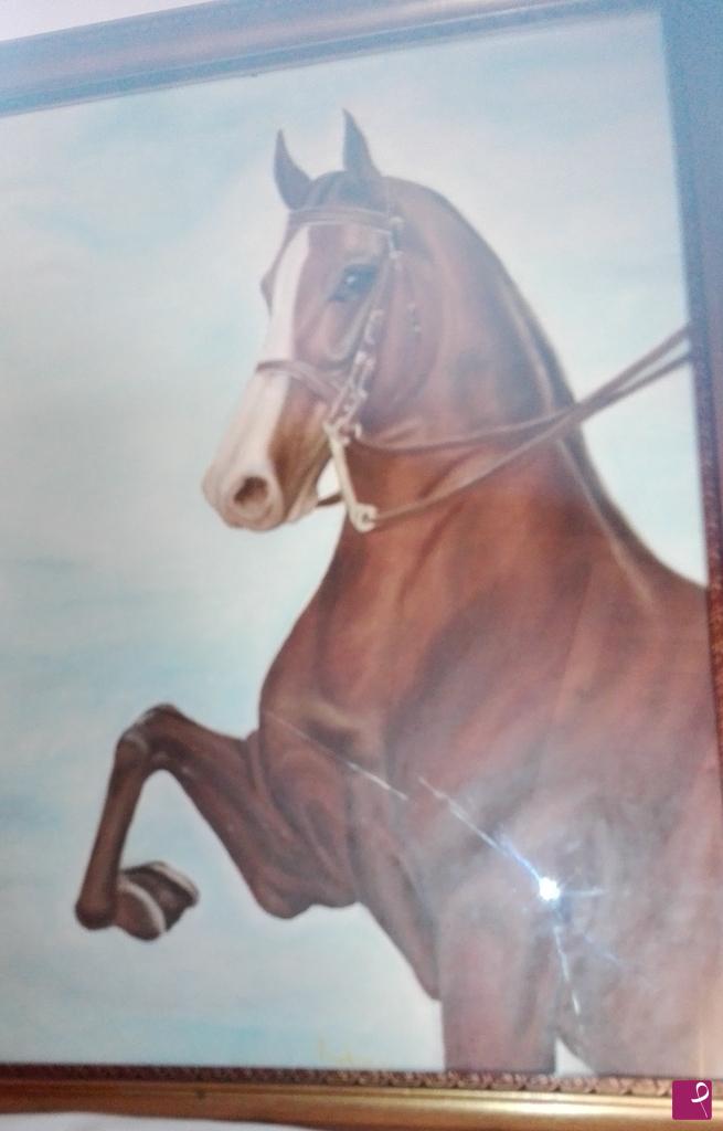 quadri in vendita online - Cavallo