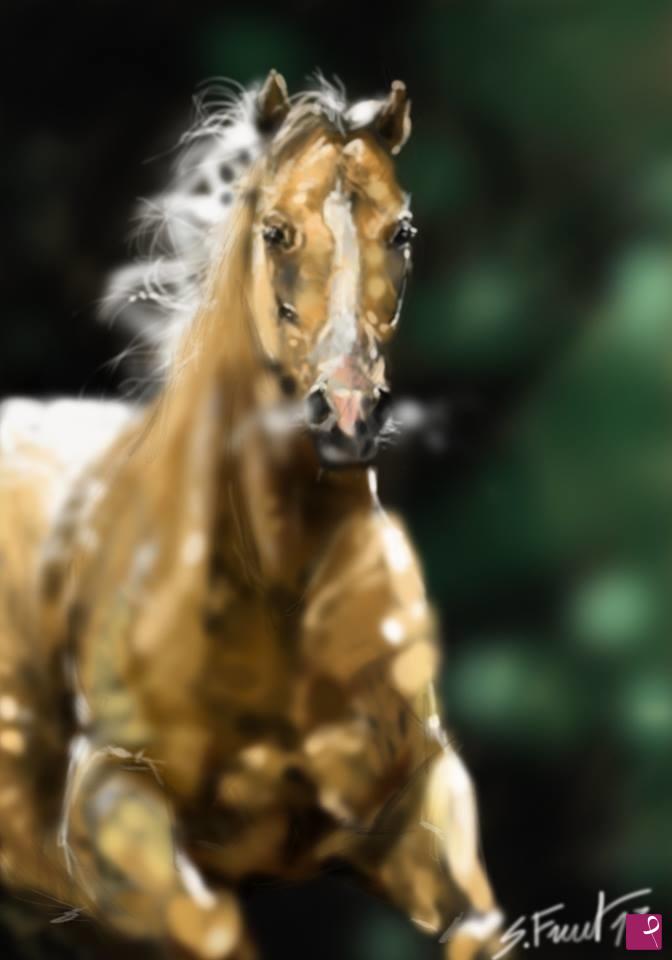 quadri in vendita online - Cavallo