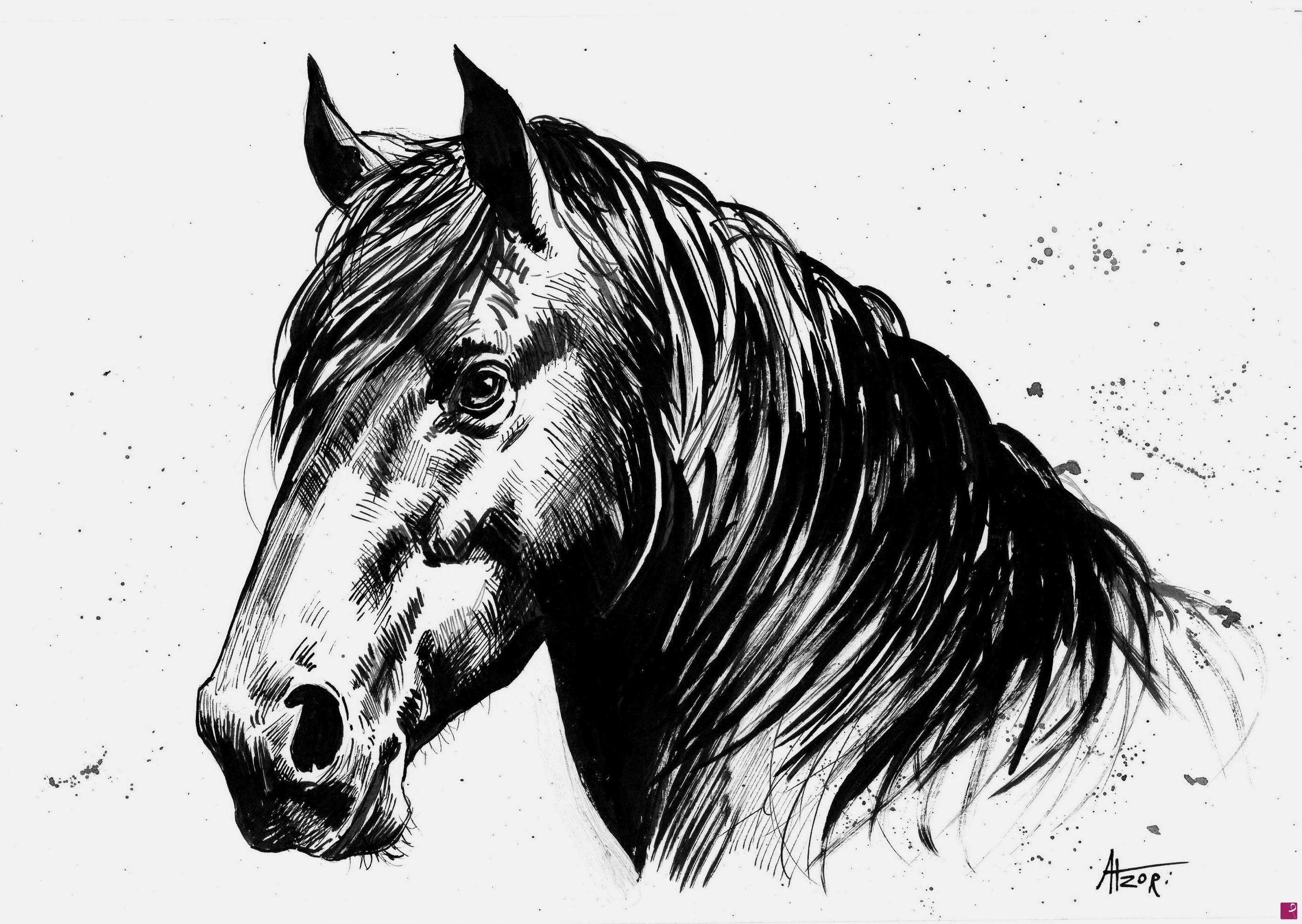 quadri in vendita online - cavallo 2