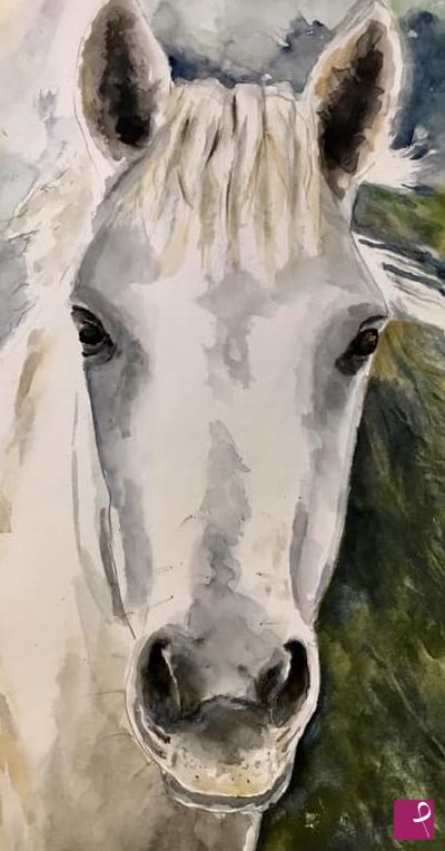 quadri in vendita online - Cavallo 