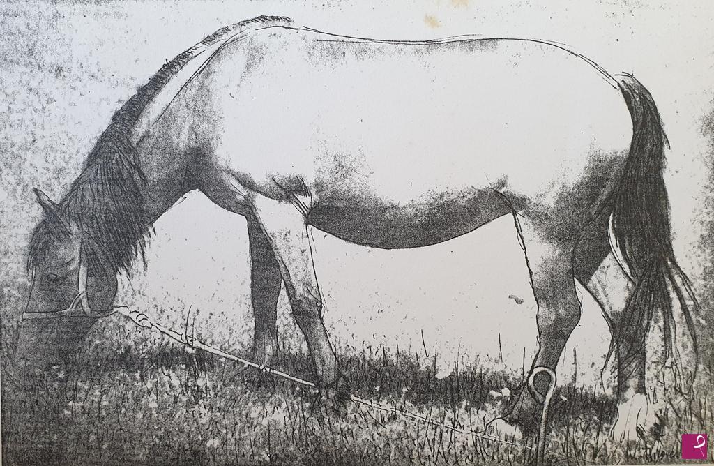 quadri in vendita online - Cavallo