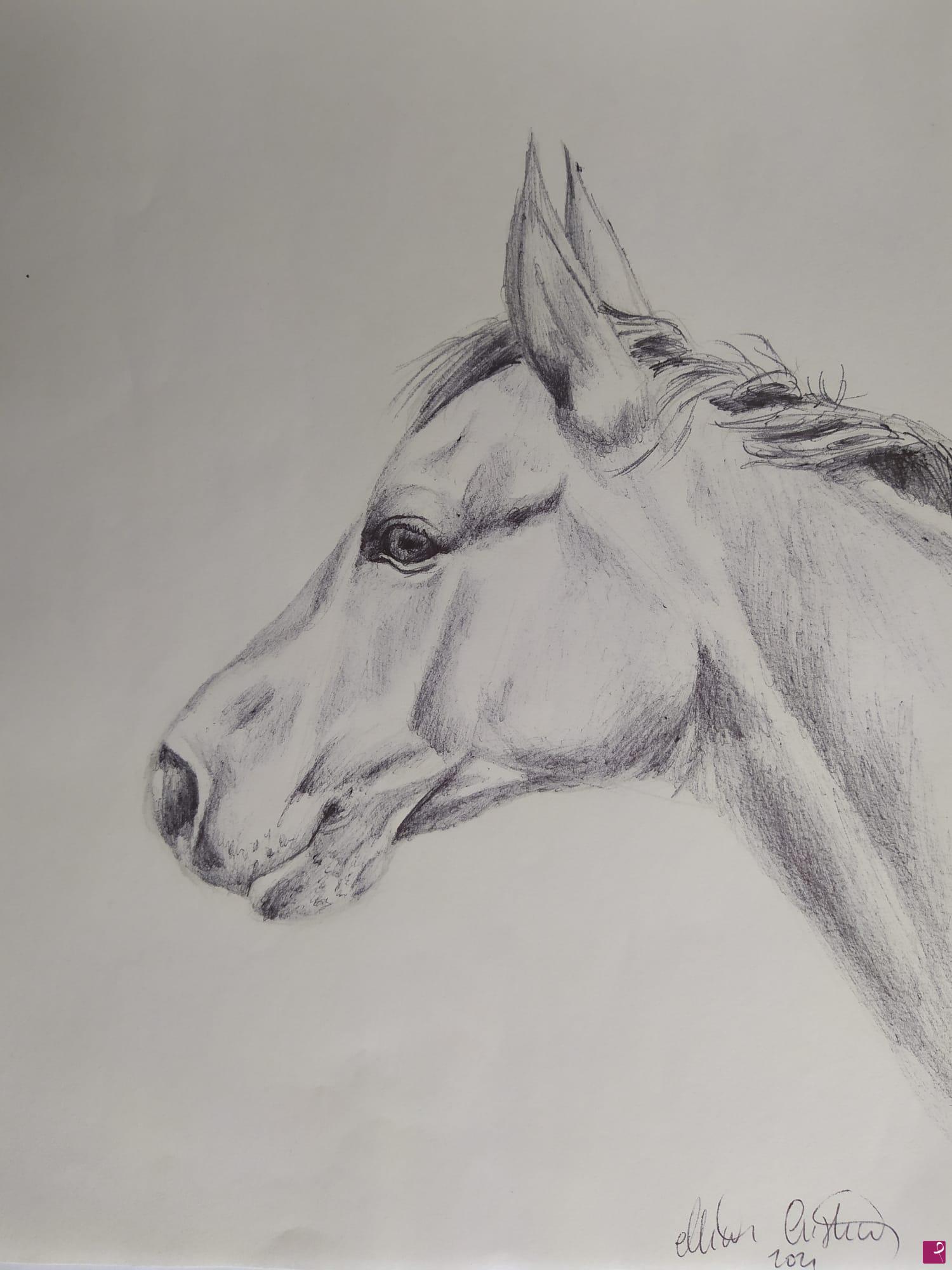 quadri in vendita online - Cavallo