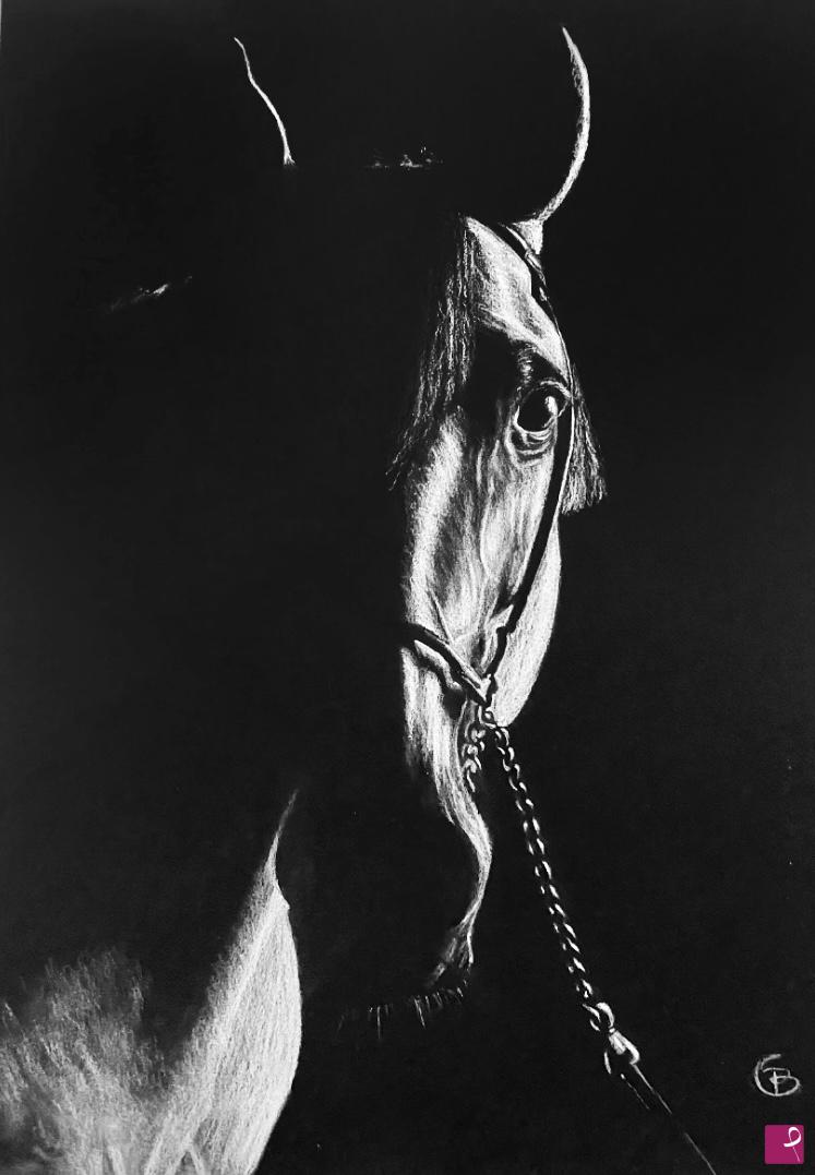 quadri in vendita online - Cavallo 5