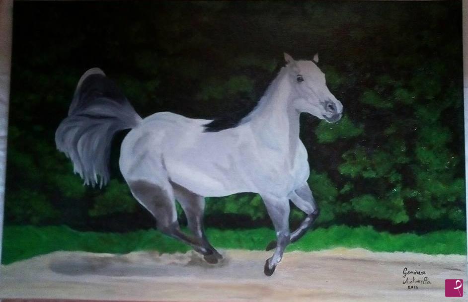 quadri in vendita online - Cavallo al galoppo