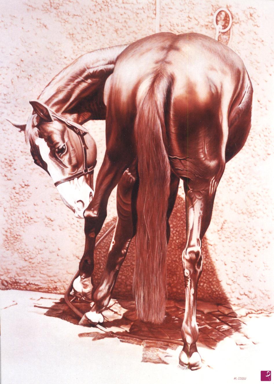 quadri in vendita online - Cavallo al maneggio.