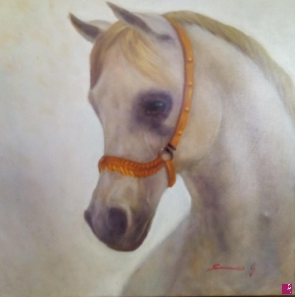 quadri in vendita online - Cavallo arabo