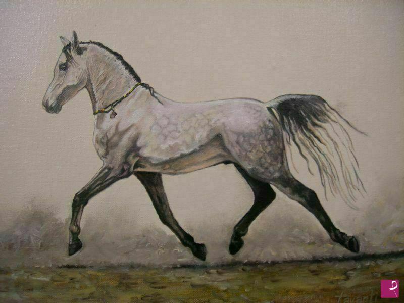 quadri in vendita online - cavallo arabo