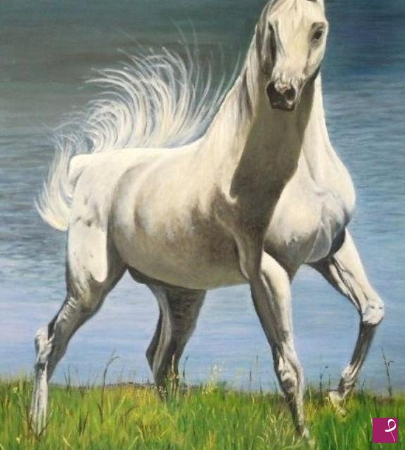 quadri in vendita online - Cavallo bianco