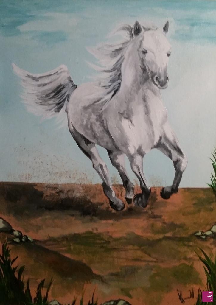 quadri in vendita online - Cavallo bianco