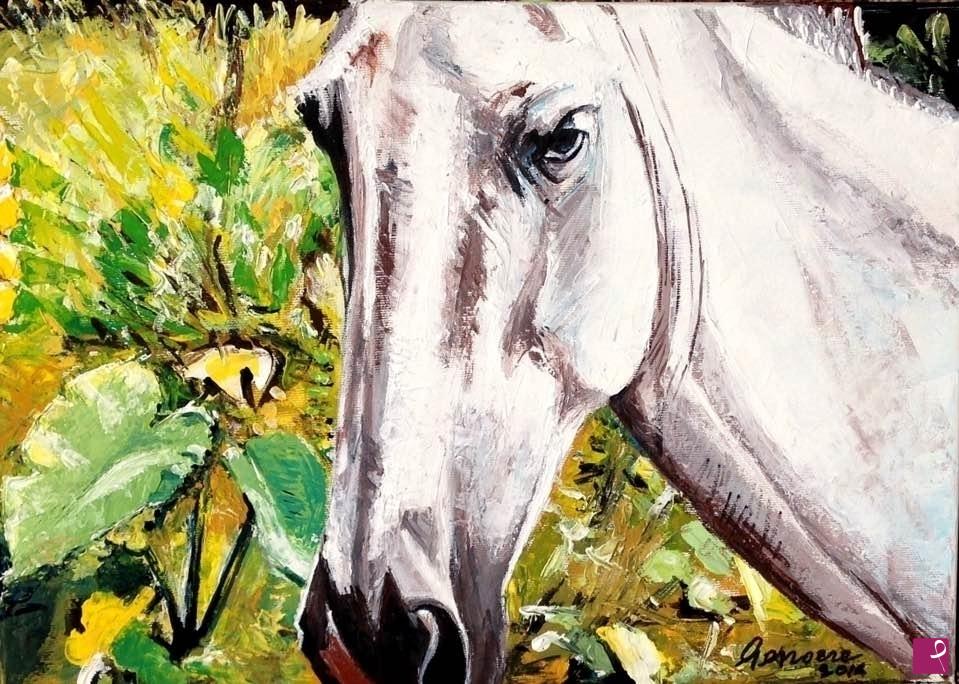 quadri in vendita online - cavallo bianco