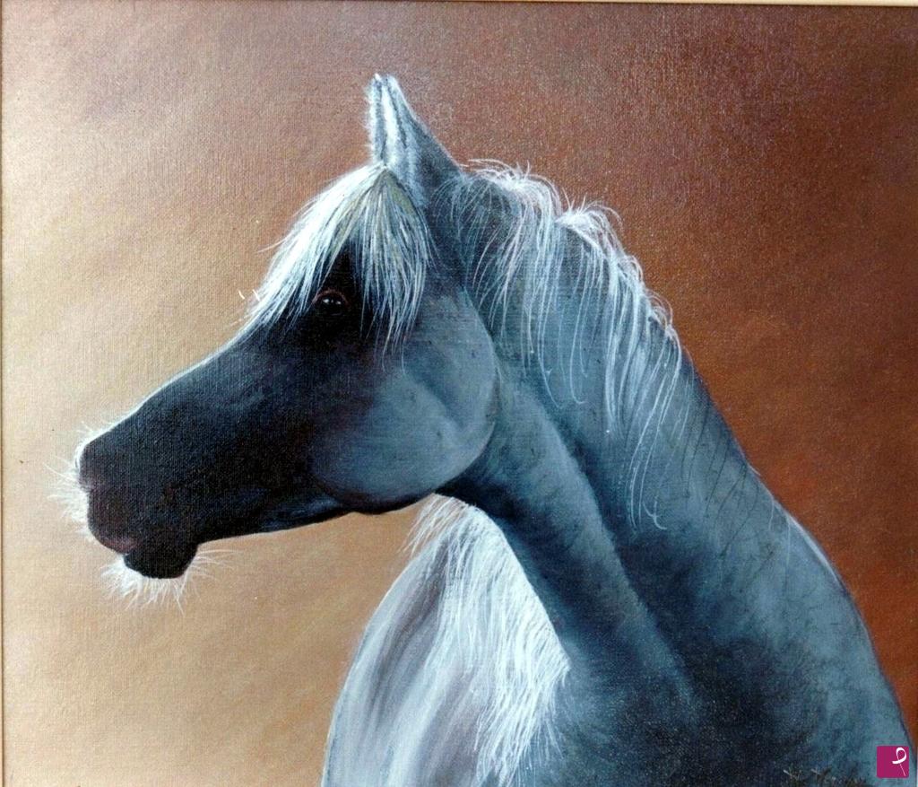quadri in vendita online - Cavallo bianco