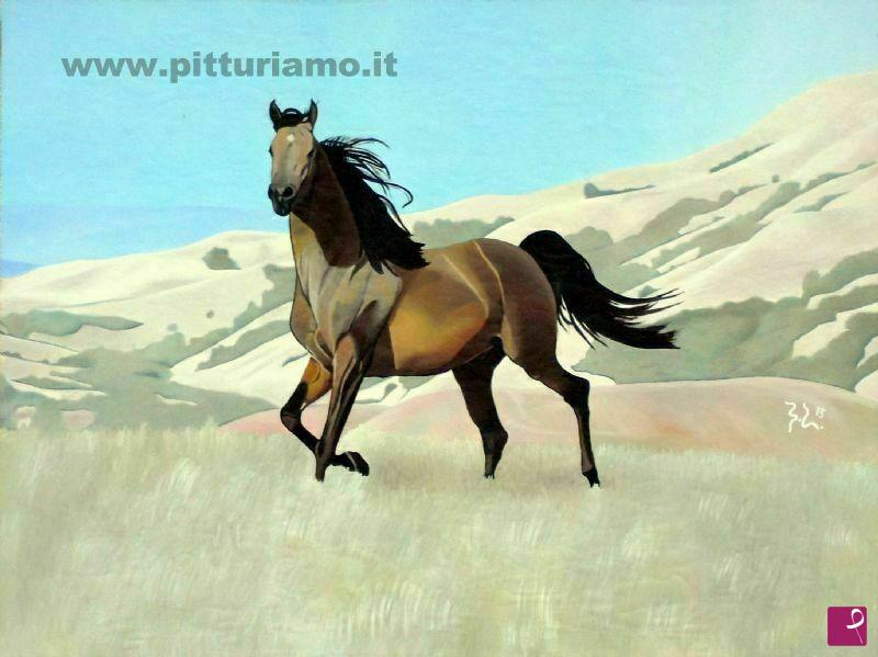 quadri in vendita online - Cavallo brado