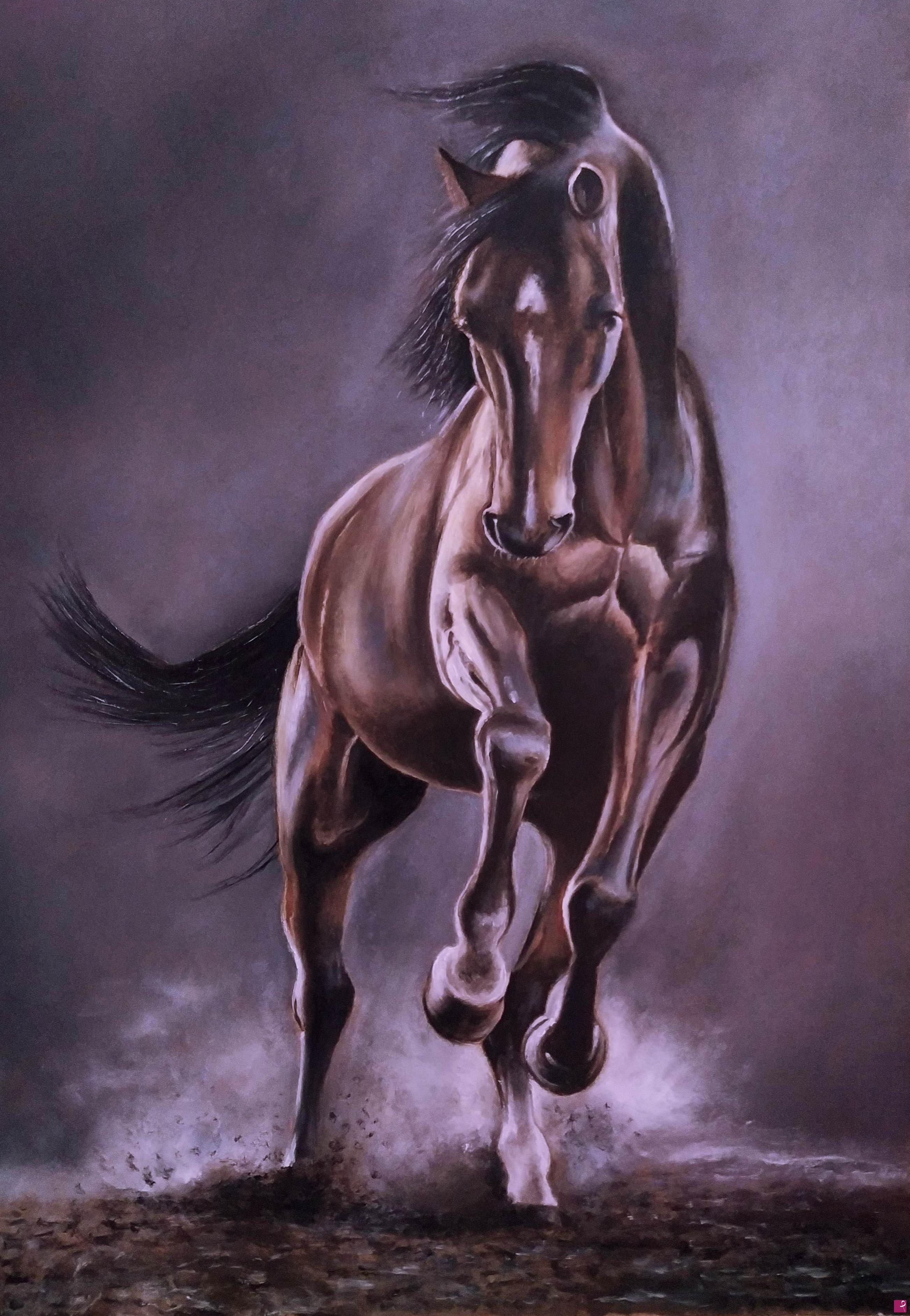 quadri in vendita online - Cavallo by Buzzoni Filippo