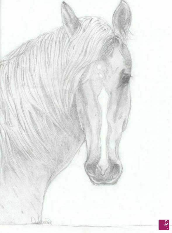 quadri in vendita online - cavallo grigio