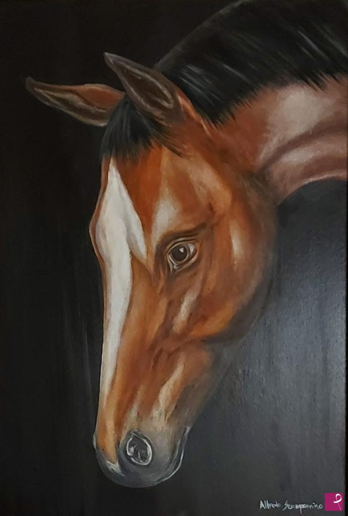 quadri in vendita online - Cavallo horse