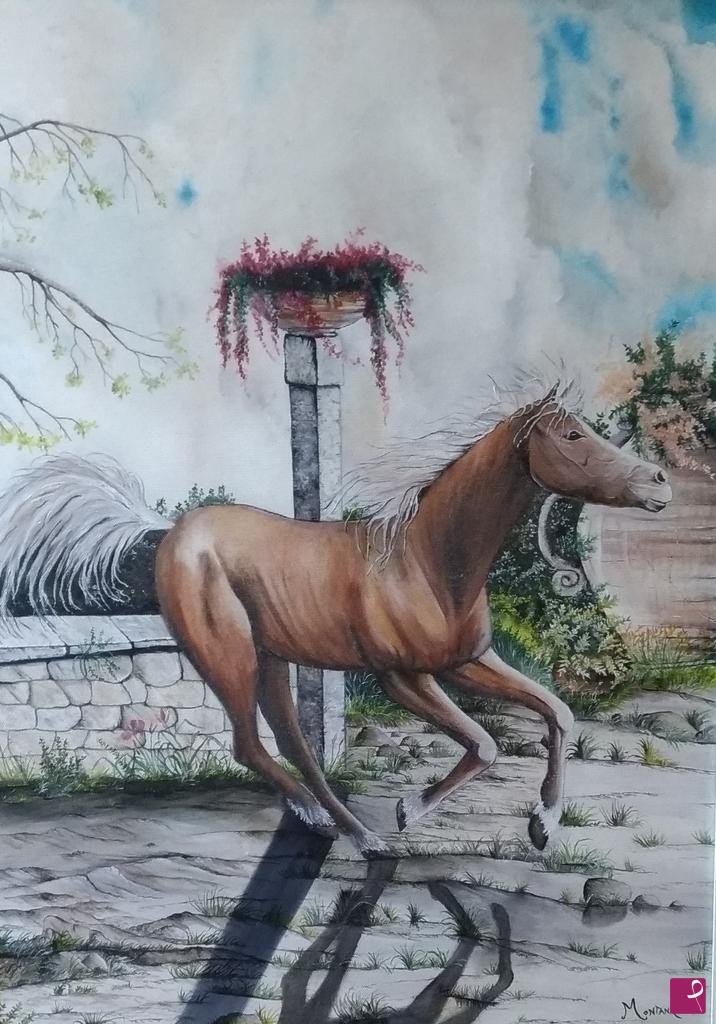quadri in vendita online - Cavallo in libertà