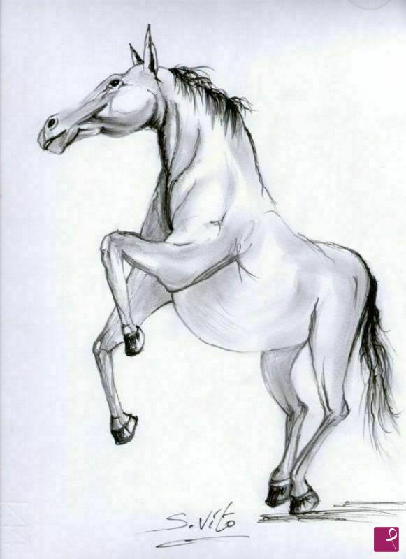 quadri in vendita online - Cavallo in movimento