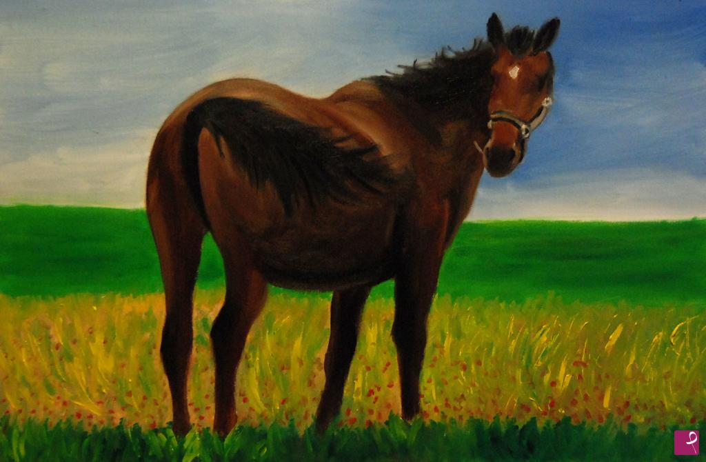quadri in vendita online - Cavallo maremmano