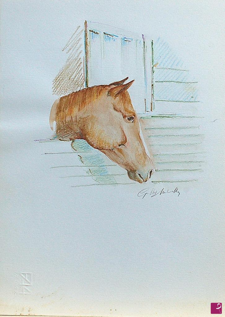 quadri in vendita online - Cavallo Puskin in Box