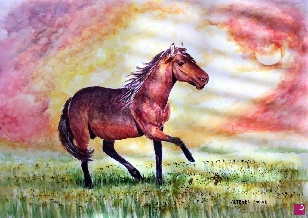 quadri in vendita online - Cavallo selvaggio