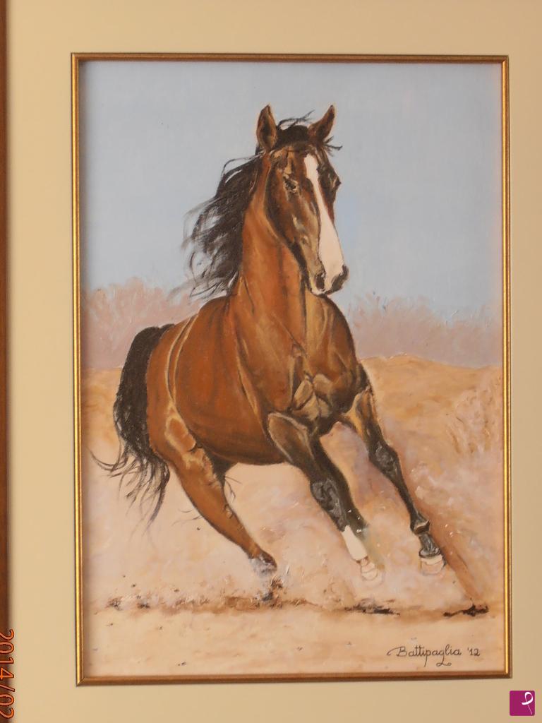 quadri in vendita online - cavallo selvaggio