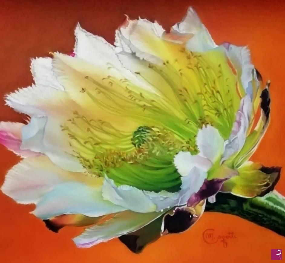 quadri in vendita online - CEREUS PERUVIANUS 