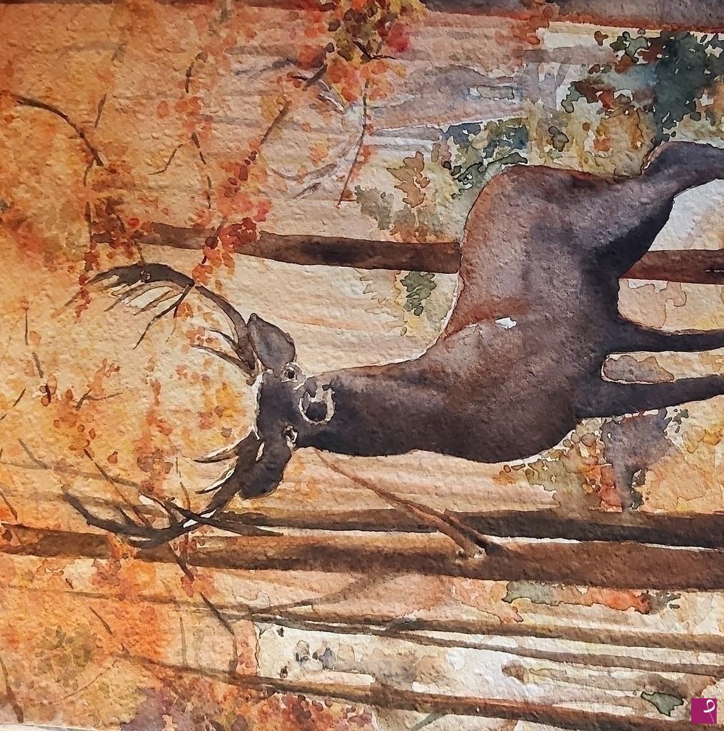 quadri in vendita online - cervo nel bosco