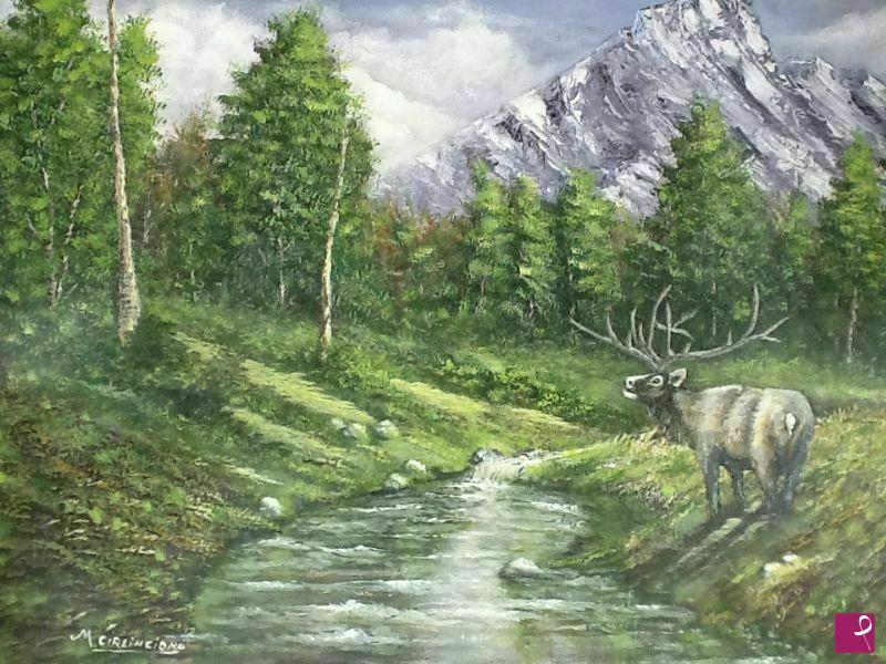 quadri in vendita online - Cervo solitario