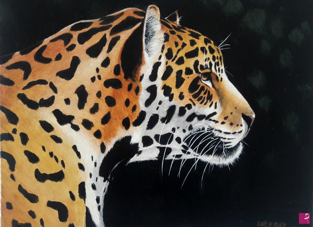 quadri in vendita online - Cheeta