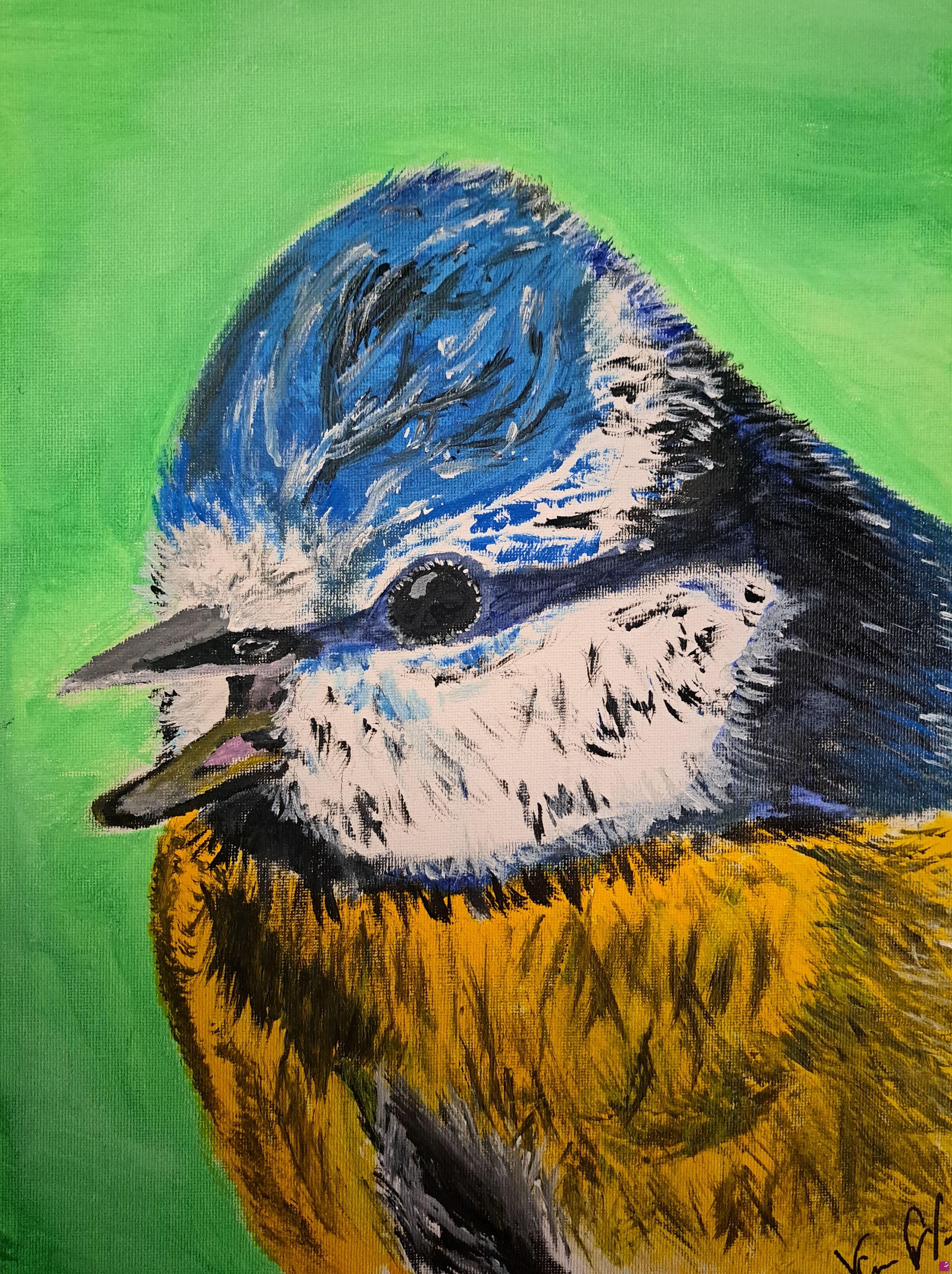 quadri in vendita online - Chirping of the eurasian blue tit