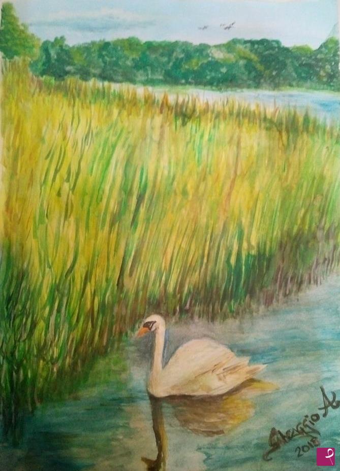 quadri in vendita online - "CIGNO" 