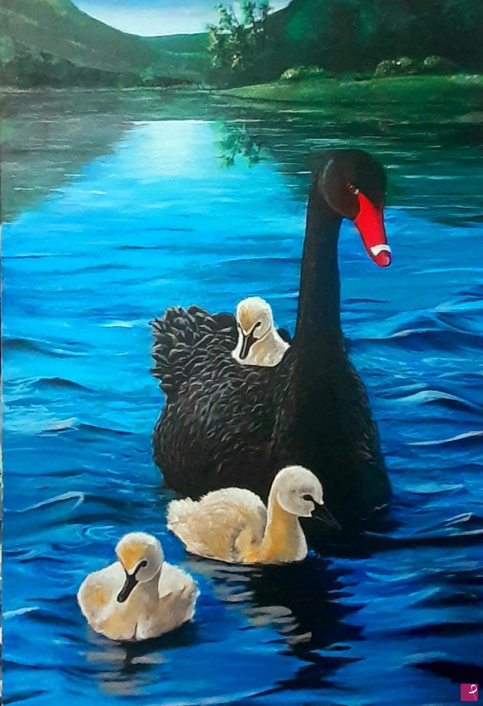 quadri in vendita online - Cigno nero