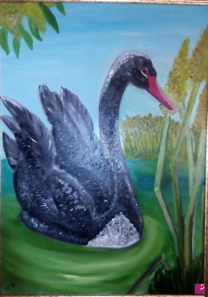 quadri in vendita online - Cigno nero