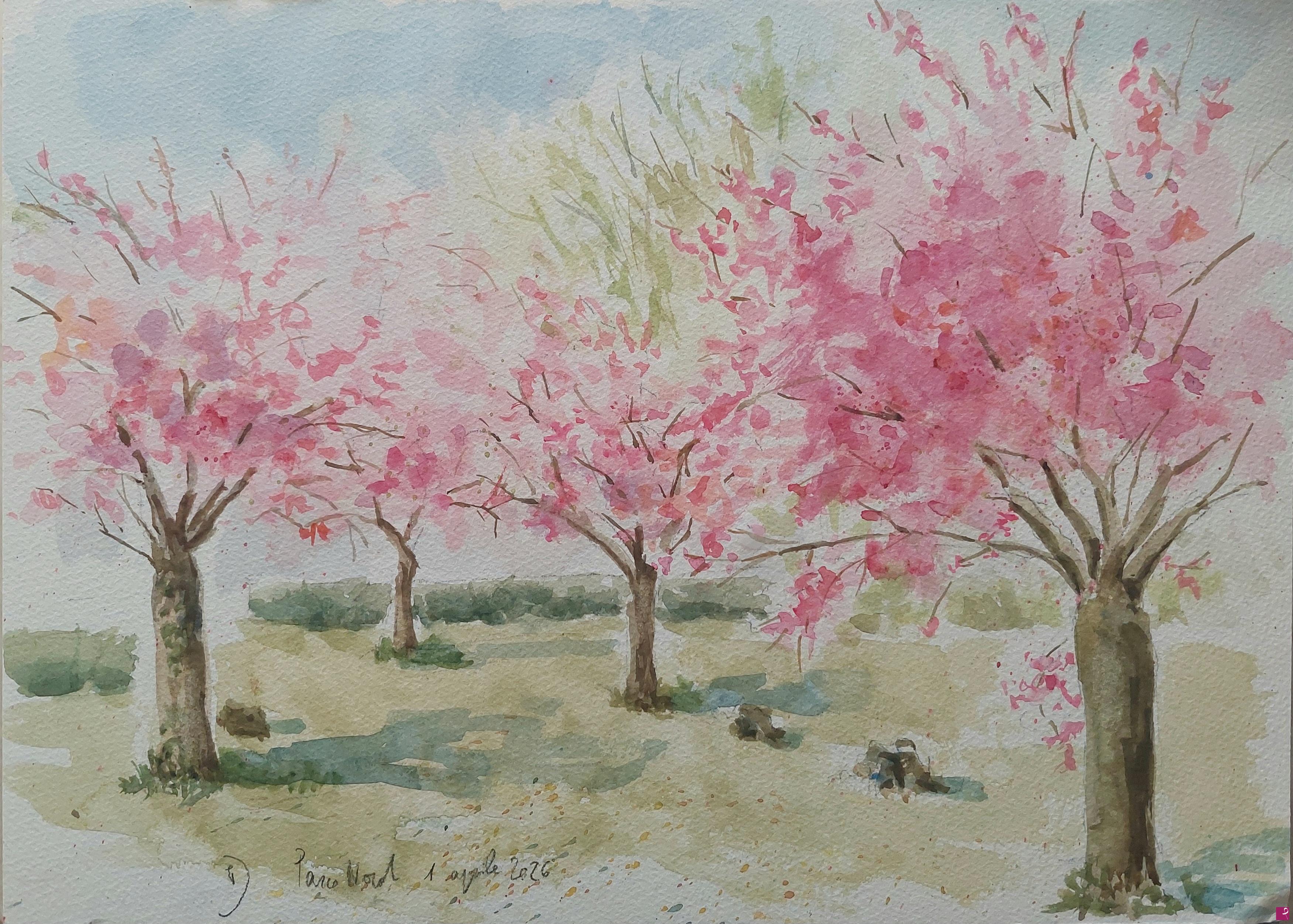 quadri in vendita online - Ciliegi in fiore al Parco Nord 
