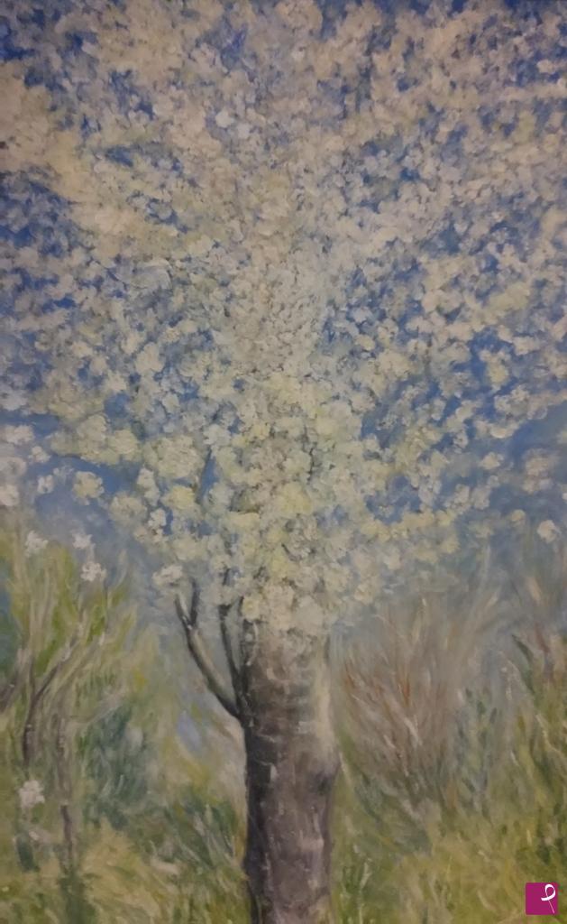quadri in vendita online - Ciliegio in fiore
