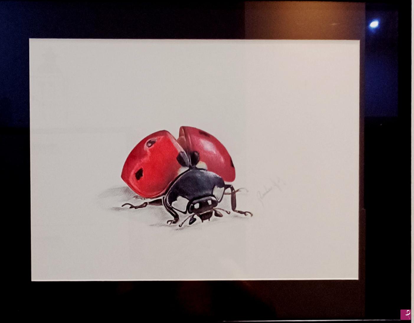 quadri in vendita online - coccinella 