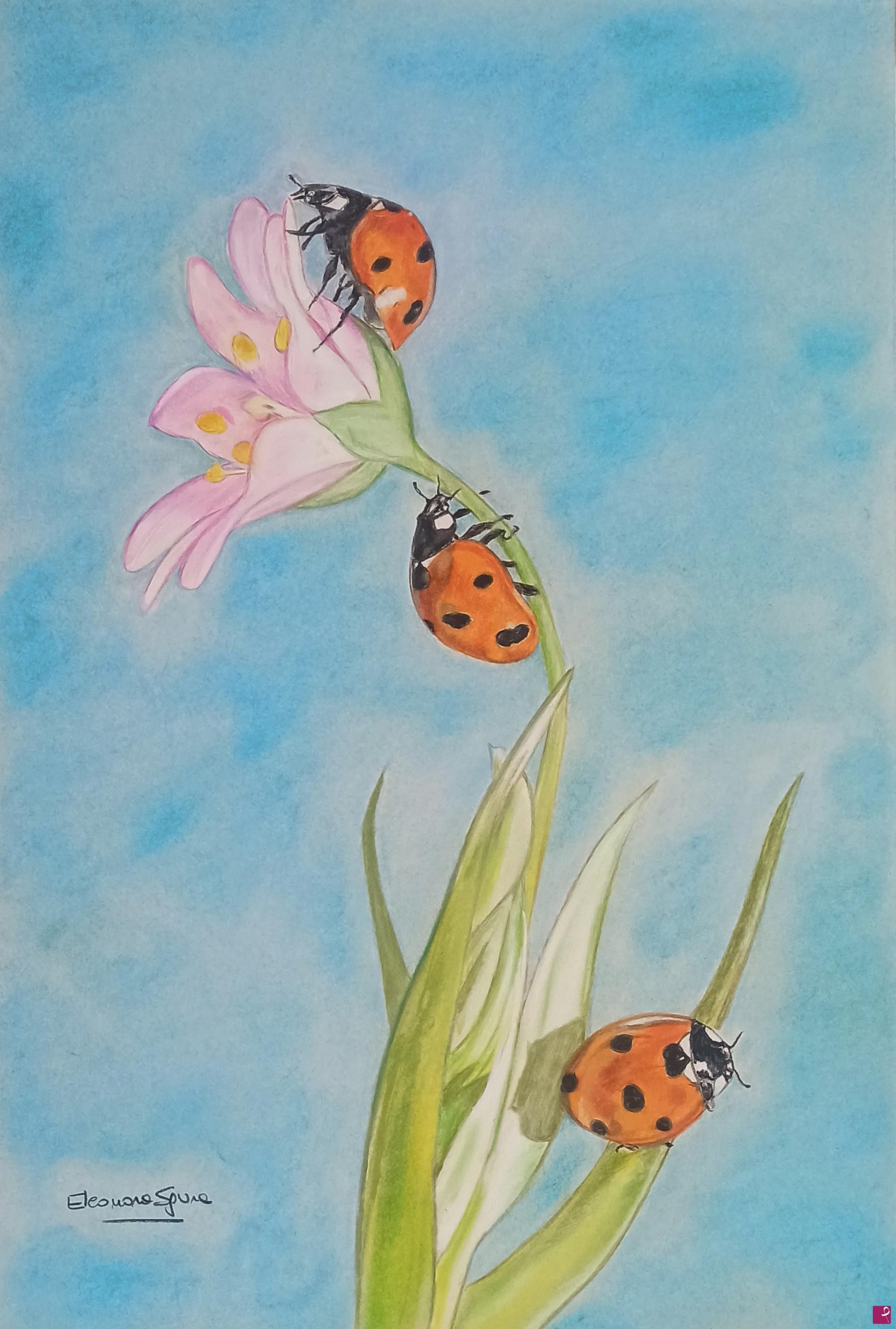 disponibile quadro COCCINELLE 0142 SE2020 Eleonora Art