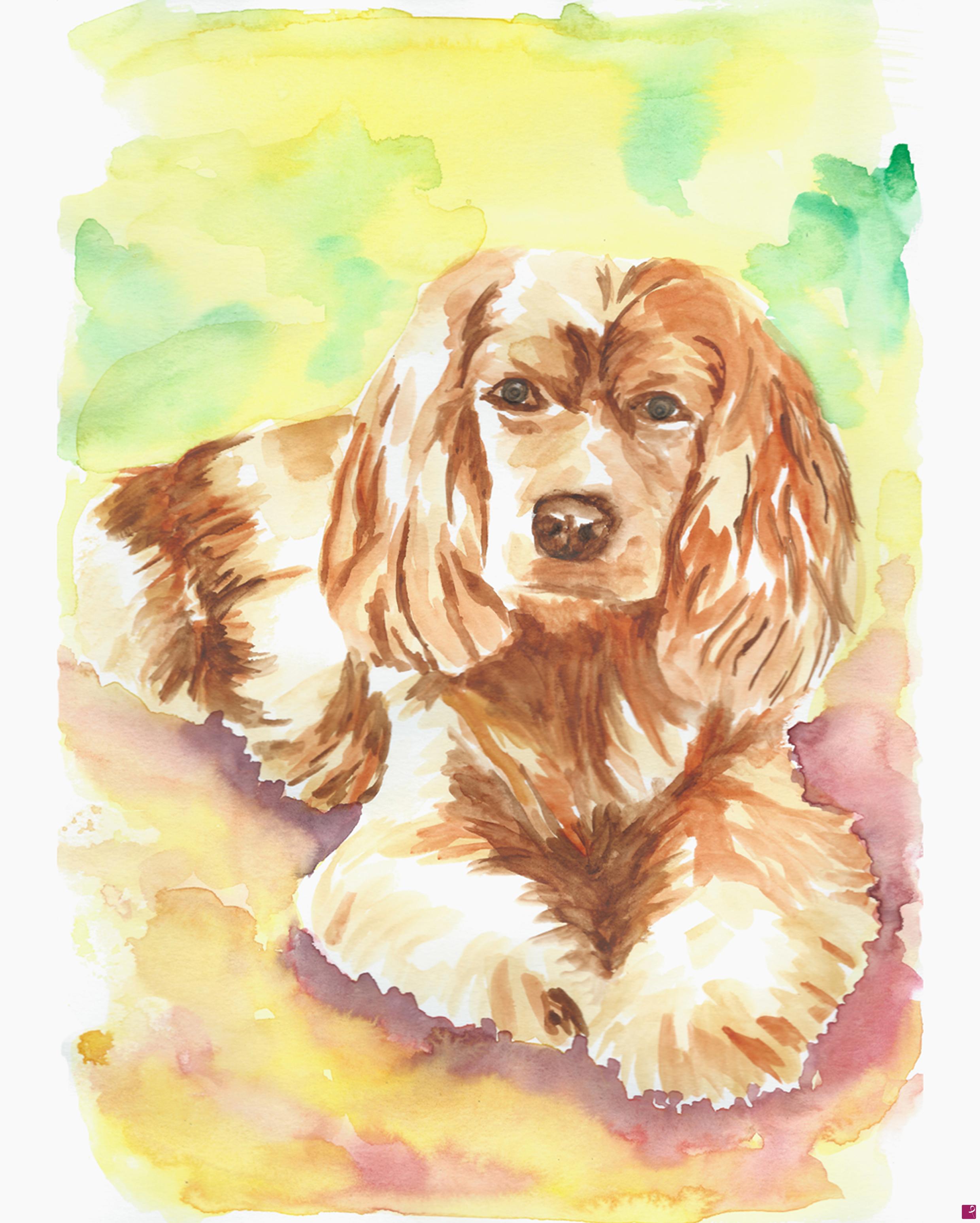 quadri in vendita online - Cocker Spaniel