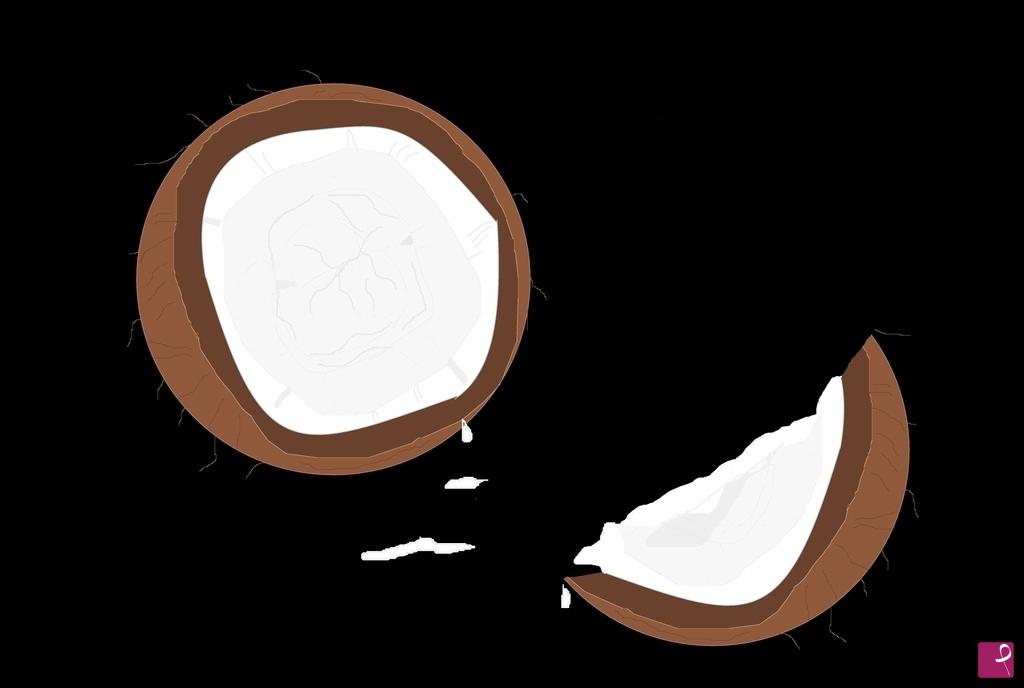 quadri in vendita online - coconut 