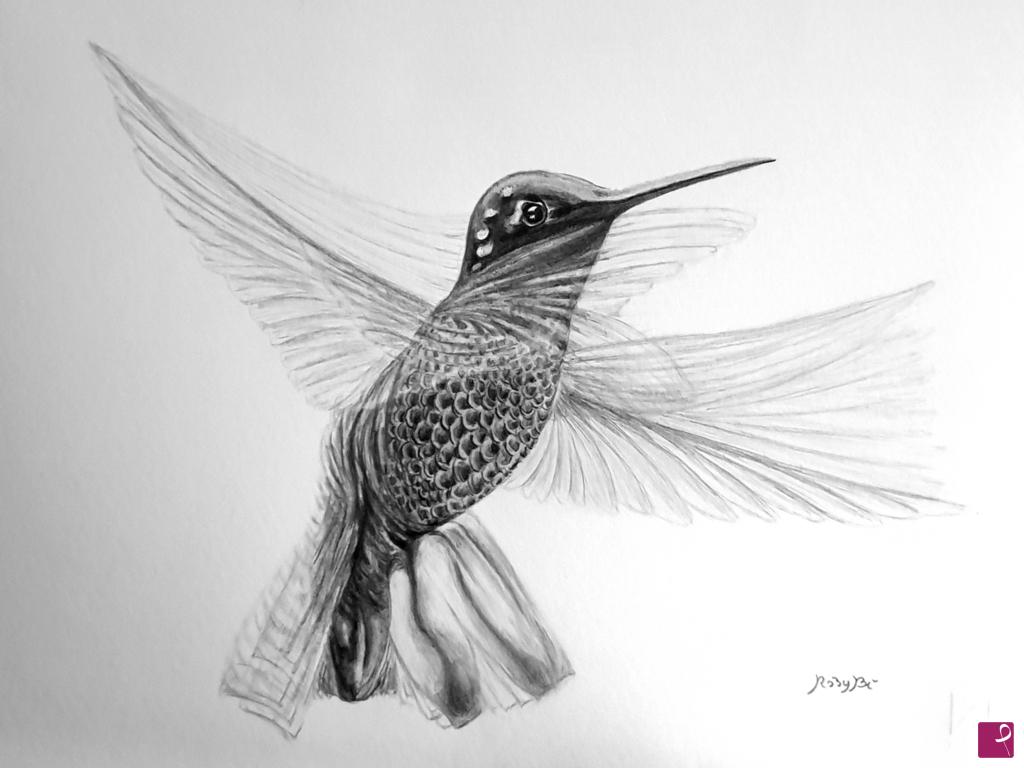 quadri in vendita online - Colibrì. 