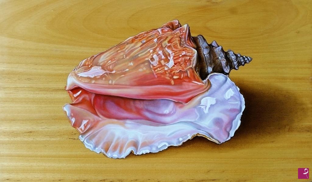quadri in vendita online - "CONCH SHELL"