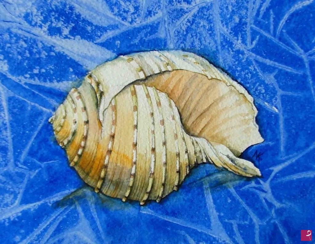 quadri in vendita online - Conchiglia