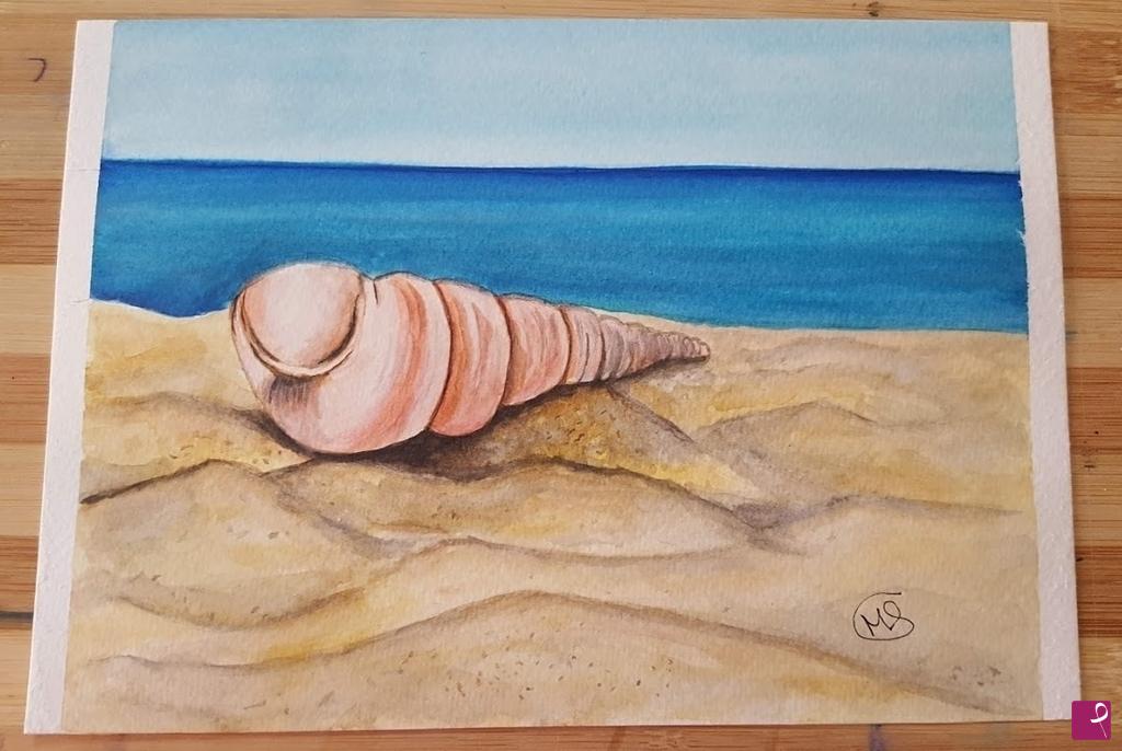 quadri in vendita online - Conchiglia di mare