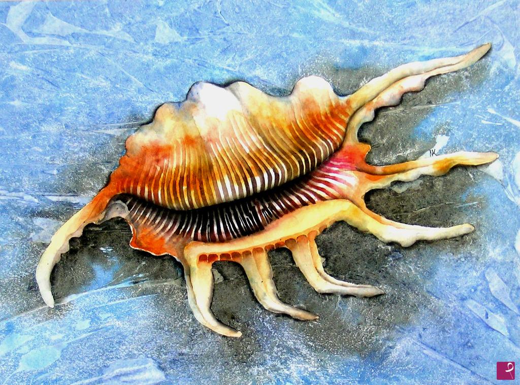quadri in vendita online - Conchiglia  Lambis Skorpius 