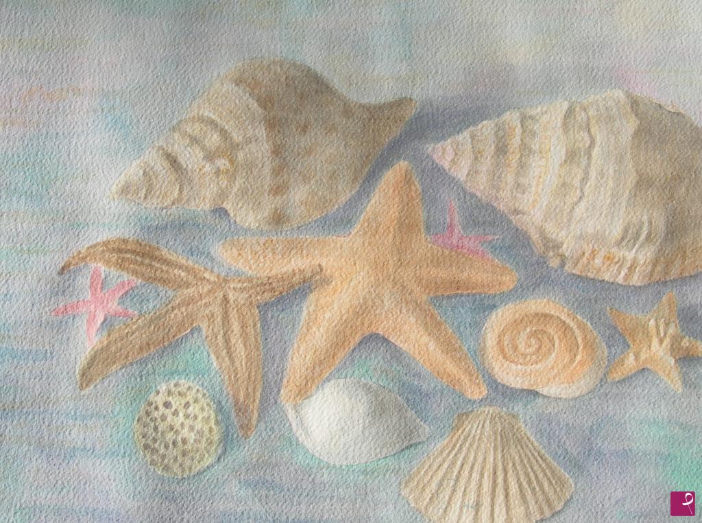 quadri in vendita online - conchiglie nel mare