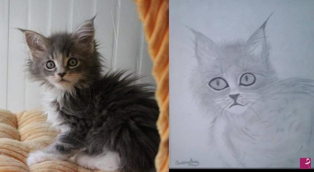 quadri in vendita online - Confronto Gatto L