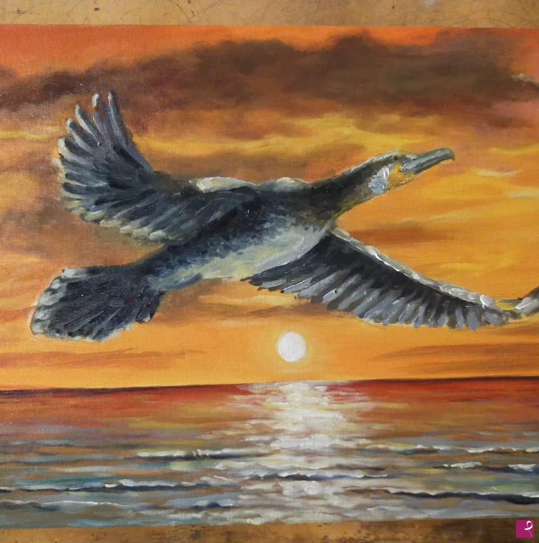 quadri in vendita online - Cormorano al tramonto