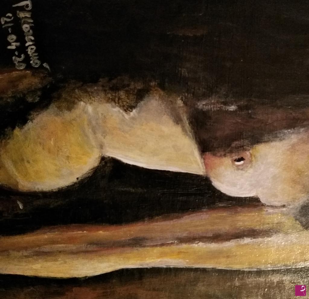quadri in vendita online - ""CORPO in CHIAROSCURO ""